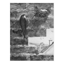 Chimney Swift and Nest Post Cards