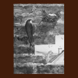 Chimney Swift and Nest posters