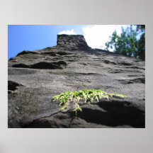 Chimney View Poster