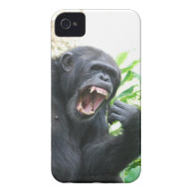 Chimp Baring Teeth iPhone 4 Case-Mate Cases