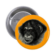 Chimp plain buttons