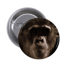 Chimp Round Button