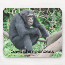 Chimp Sanctuary Mousepads