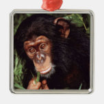 Chimpansee Christmas Ornament