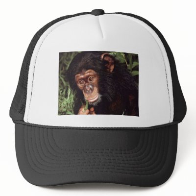 Chimpansee Mesh Hat by VectorGraphics