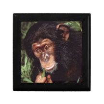 Chimpansee Keepsake Boxes