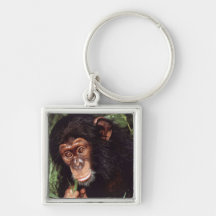 Chimpansee Keychains