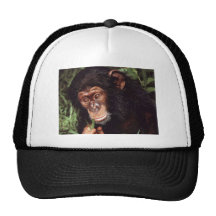 Chimpansee Mesh Hat