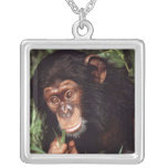 Chimpansee Necklace