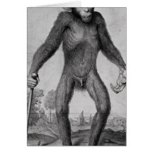 Chimpanzee, 1699 greeting cards