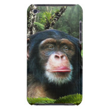 Chimpanzee Great Ape Wildlife Animal Phone Case Barely There iPod Cover