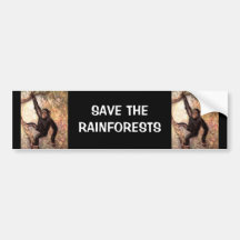 Chimpanzee Hanging From Tree Bumper Sticker
