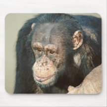Chimpanzee Mouse Mat