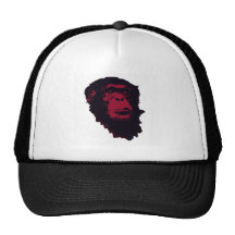 CHIMPANZEES ARE AMAZING HAT