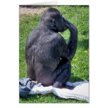 CHIMPANZEES CARDS