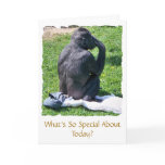 CHIMPANZEES GREETING CARDS