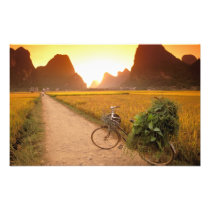 China, Guangxi. Yangzhou, Bicycle on country
