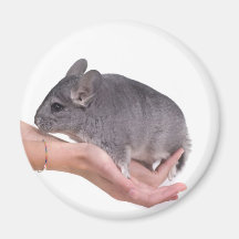 chinchilla aimant pour réfrigérateur