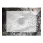chinchilla eye close up invitations