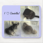 Chinchilla Love Mousepad