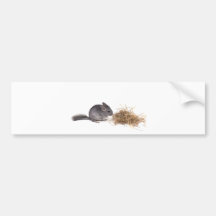 chinchillas autocollants pour voiture