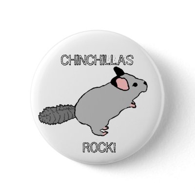CHINCHILLAS ROCK! PINBACK BUTTON by obliqueclarity
