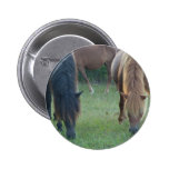 Chincoteague Island / Assateague Island pony buttons