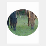 Chincoteague Island / Assateague Island pony postcards