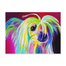 Chinese Crested #1