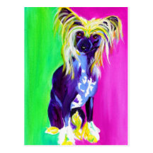 Chinese Crested #1 Postcards