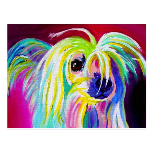 Chinese Crested #1 Postcards