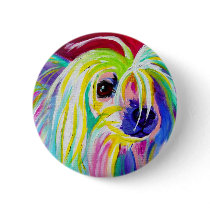 Chinese Crested #2
