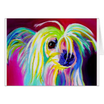 Chinese Crested #2