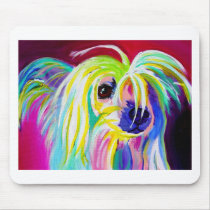 Chinese Crested #2