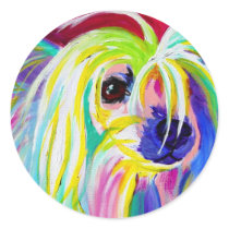 Chinese Crested #2