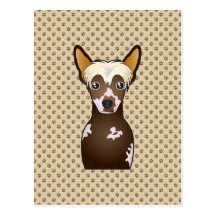 Chinese Crested Cartoon Postcard