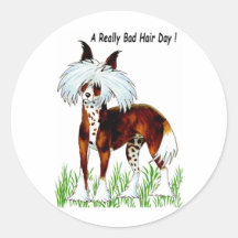 Chinese Crested Dog, Bad Hair Day Sticker