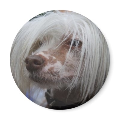 Chinese Crested Dog Fridge Magnet by EMangl