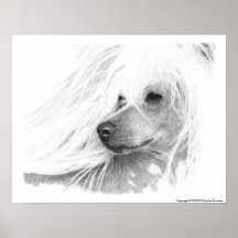 Chinese Crested Dog Print