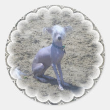Chinese Crested Dog Stickers