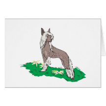 Chinese Crested Greeting Card
