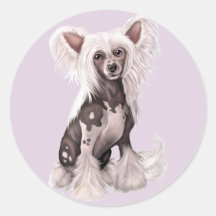 Chinese Crested Hairless Sit Stickers