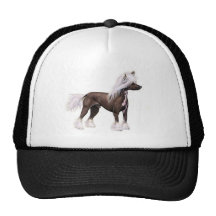 Chinese Crested Mesh Hat