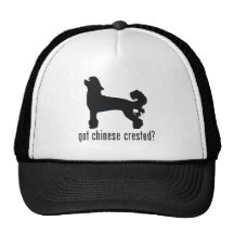 Chinese Crested Mesh Hats