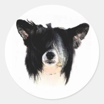 Chinese Crested (Powderpuff) Round Stickers