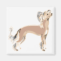 Chinese Crested Refrigerator Magnet