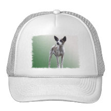 Chinese Crested Show Dog Baseball Hat