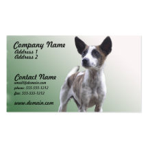 Chinese Crested Show Dog Business Card