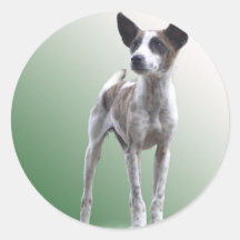 Chinese Crested Show Dog Sticker