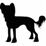 Chinese Crested Silhouette (black) Cut Outs